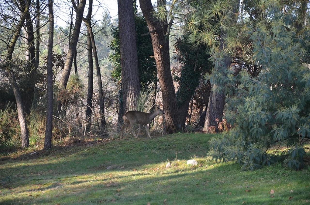 L'Hippocampe Bed & Breakfast Serent Exterior photo