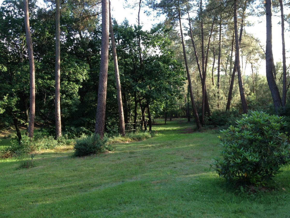 L'Hippocampe Bed & Breakfast Serent Exterior photo